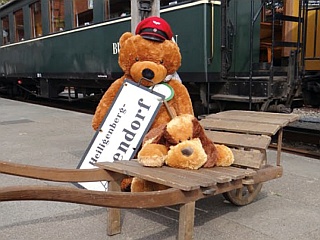 Teddy fährt Eisenbahn!