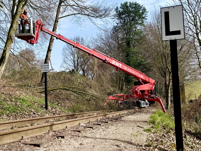 Abb.: Mit dem Hubsteiger kommt man auch an die oberen Äste und kann saubere Schnitte an den Bäumen ausführen. Verfahren wird der Steiger auf einem unserer Rollwagen, im Einsatz stützt er sich dann selber mit seinen Teleskopbeinen ab. (Klicken vergrößert)