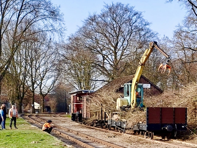 Abb.: Zum Schluss wird an der Ladestraße im Bahnhof Heiligenberg das Ergebnis der Aktion für den Abtransport aufgeschichtet. (Klicken vergrößert und zeigt den ganzen Haufen)